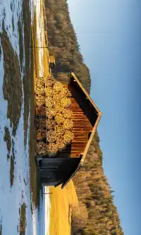 11.19雪後的慕尼黑南郊瘋狂了!!!