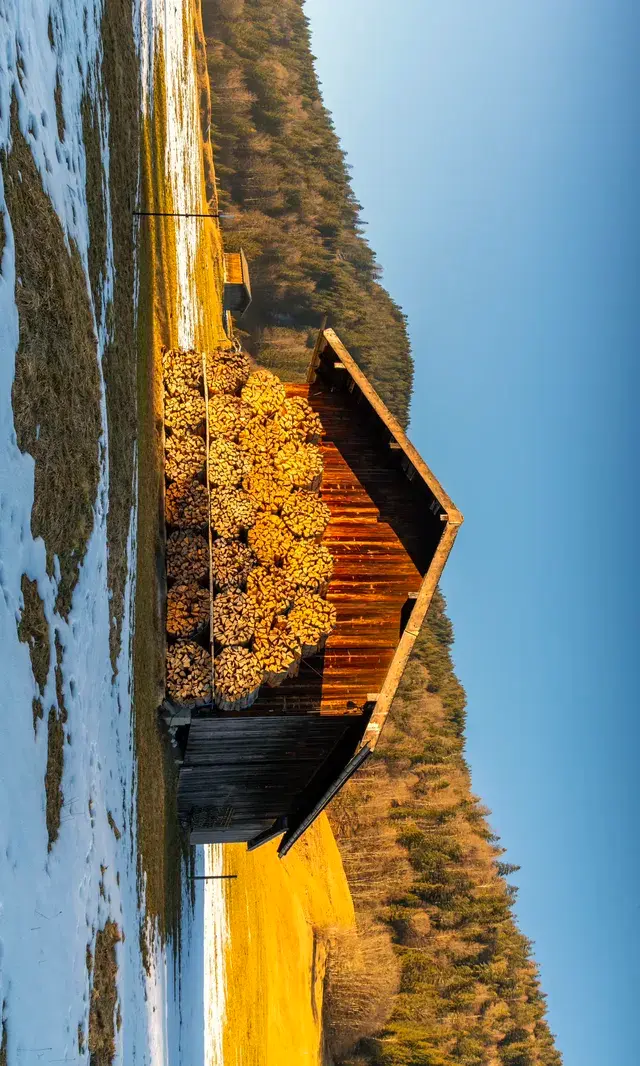 11.19雪後的慕尼黑南郊瘋狂了!!! 11.19雪後的慕尼黑南郊瘋狂了!!!