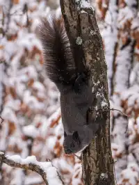 再吃，再吃就把你拍下來，放到網上去！