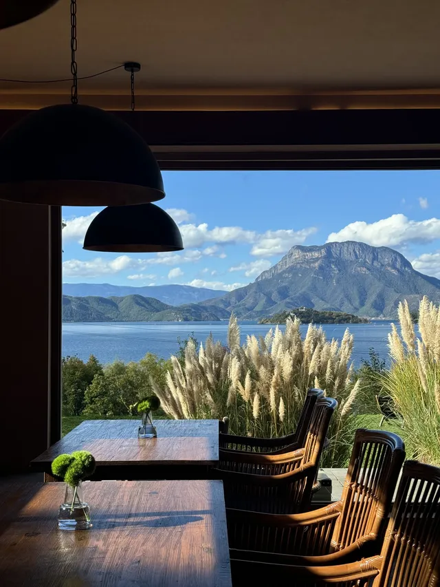 瀘沽湖蘆葦季｜海鷗live，晨霧漫湖