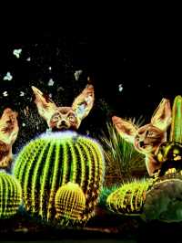 不愧是上海公園美到「未來感」拉滿