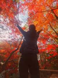 南京三天遊(秋天的尾巴)