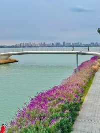 陰天也別有風味!金雞湖秋色已美成油畫