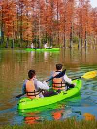 穿梭在杉林間,冬日的詩意與浪漫