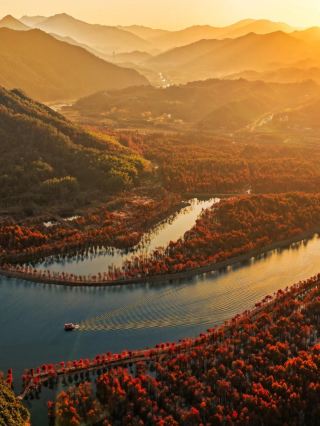 寧国落羽杉林の最後の観賞時間