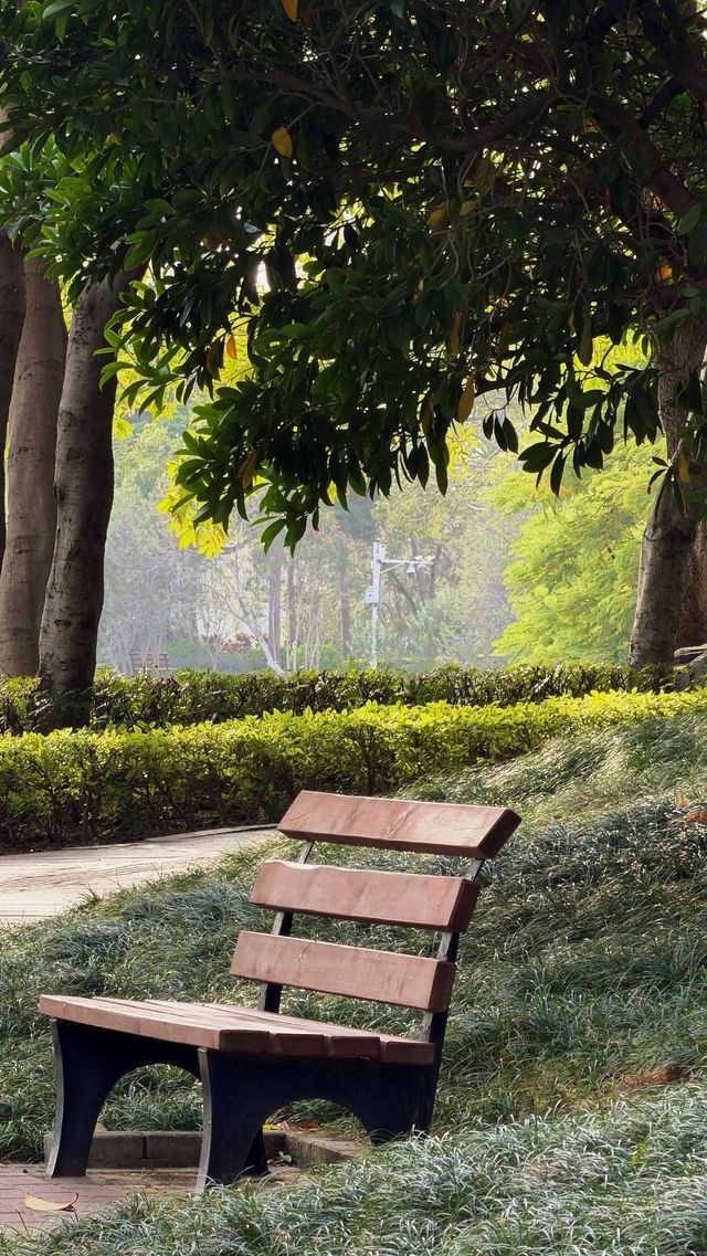 西湖邊隱秘觀景台，一些西湖的其他角度