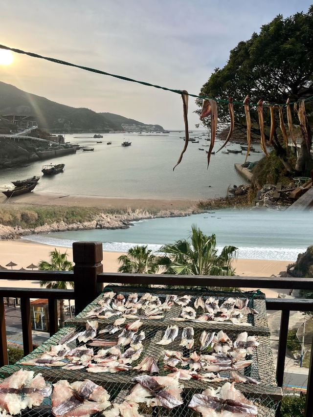 秋日南麂列島|黃草坪與礁石的絕美邂逅 秋日南麂列島|黃草坪與礁石的絕美邂逅