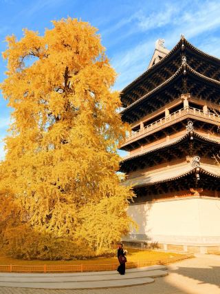 The Song Dynasty aesthetics of Puyuan Ancient Town, spanning a thousand years, moved me to tears