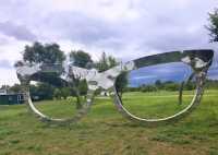 北國江心月,詩意明月島:邂逅百年風景與時光