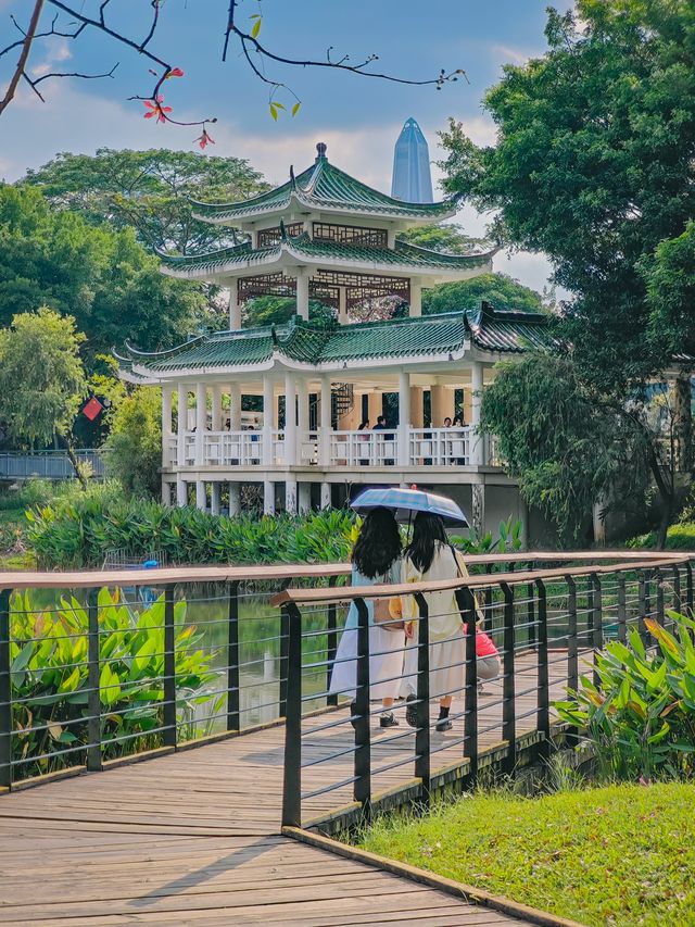 去一萬次都不夠！深圳我最愛的治癒系公園！