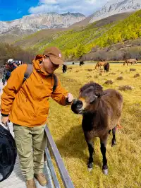 稻城亞丁｜人生照片+1！在英邁勇雪山腳下。