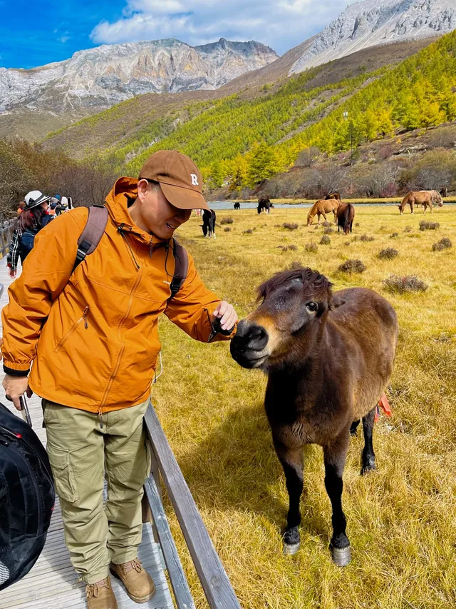 稻城亞丁｜人生照片+1！在英邁勇雪山腳下。