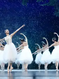 劇透!秦皇島海邊最大聖誕樹就在這兒