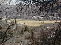 有一個地方叫做稻城……