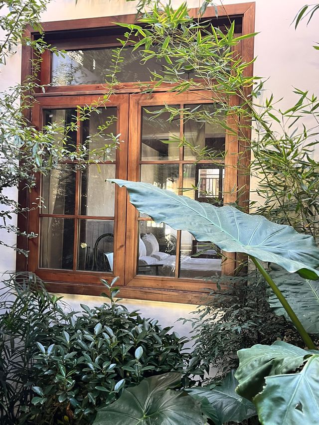 隱世小院偷閒指南