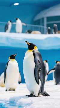 寶藏珠海,3天2夜超嗨旅遊攻略!