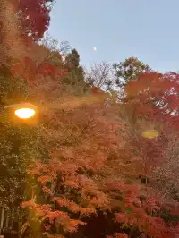 名古屋周邊|隱藏系絕美露營地