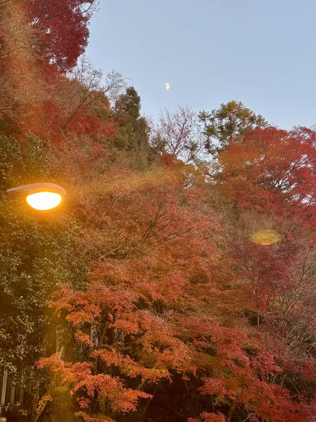 名古屋周邊|隱藏系絕美露營地 名古屋周邊|隱藏系絕美露營地