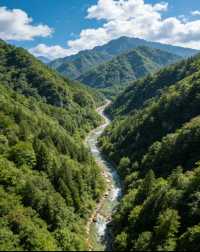 佛坪保姆級攻略帶你遊玩絕美景點