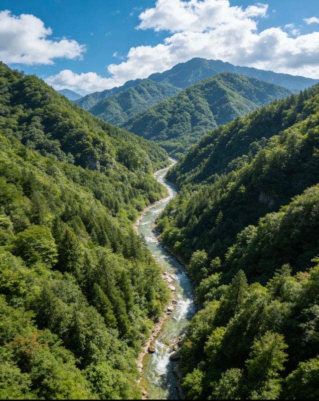 佛坪保姆級攻略帶你遊玩絕美景點 佛坪保姆級攻略帶你遊玩絕美景點