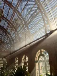 感恩節三天非特種兵帶娃San Diego遊推薦