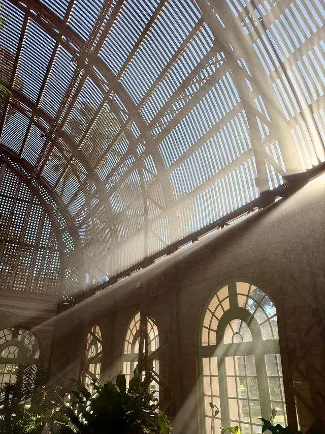 感恩節三天非特種兵帶娃San Diego遊推薦 感恩節三天非特種兵帶娃San Diego遊推薦