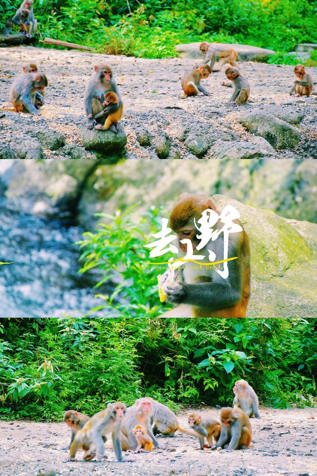 廣西賀州｜避開人潮！兩天玩轉小眾山水古鎮