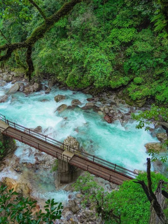 普格:在冰與火的交響中遇見螺髻九十九里 普格:在冰與火的交響中遇見螺髻九十九里