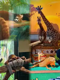 少走彎路清遠長隆一天遊玩攻略