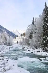 DAY4:禾木-喀納斯,喀納斯湖