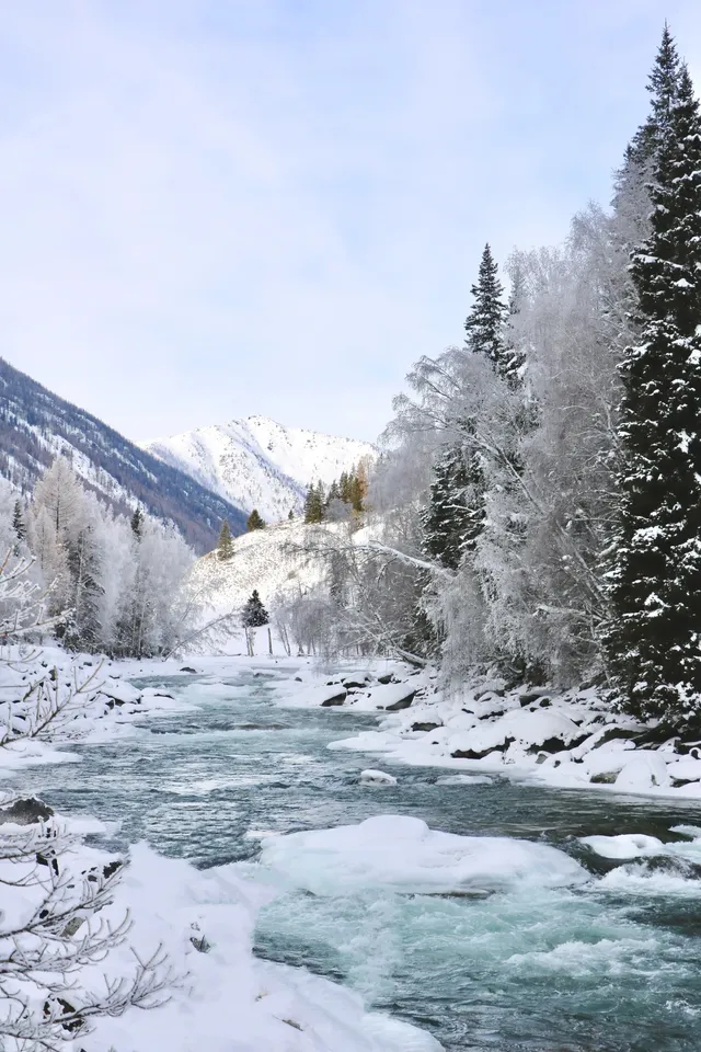 DAY4:禾木-喀納斯,喀納斯湖 DAY4:禾木-喀納斯,喀納斯湖