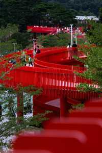 深圳虹橋公園遊玩全攻略!