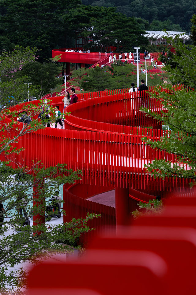 深圳虹橋公園遊玩全攻略! 深圳虹橋公園遊玩全攻略!