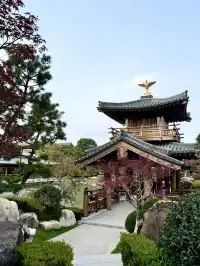 live赴一場人少景美的寶山寺唐風紅葉之約