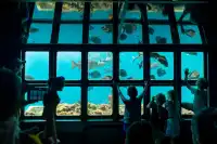 最後召集！聖誕新年大堡礁豪華4日含機票