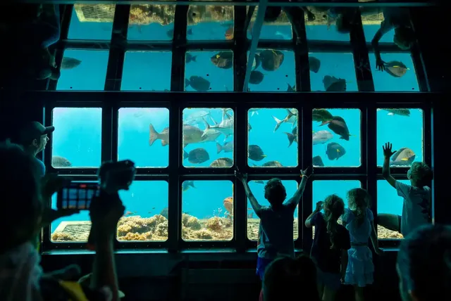 最後召集！聖誕新年大堡礁豪華4日含機票