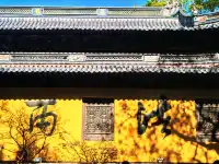 要來一次普陀山，越來越好（附攻略）