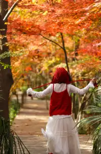 12·1南京棲霞山紅楓進入觀賞期～附路線～