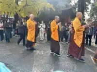 洛陽白馬寺也太寶藏了