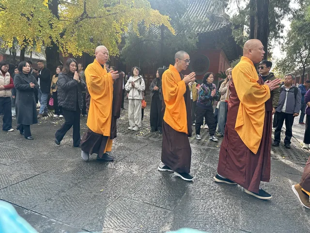 洛陽白馬寺也太寶藏了