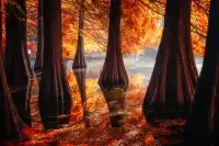 連夜來到南京只為拍到這幾張