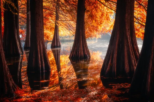 連夜來到南京只為拍到這幾張