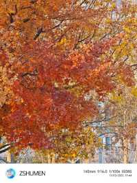 Tongliao Urban Vibes✨