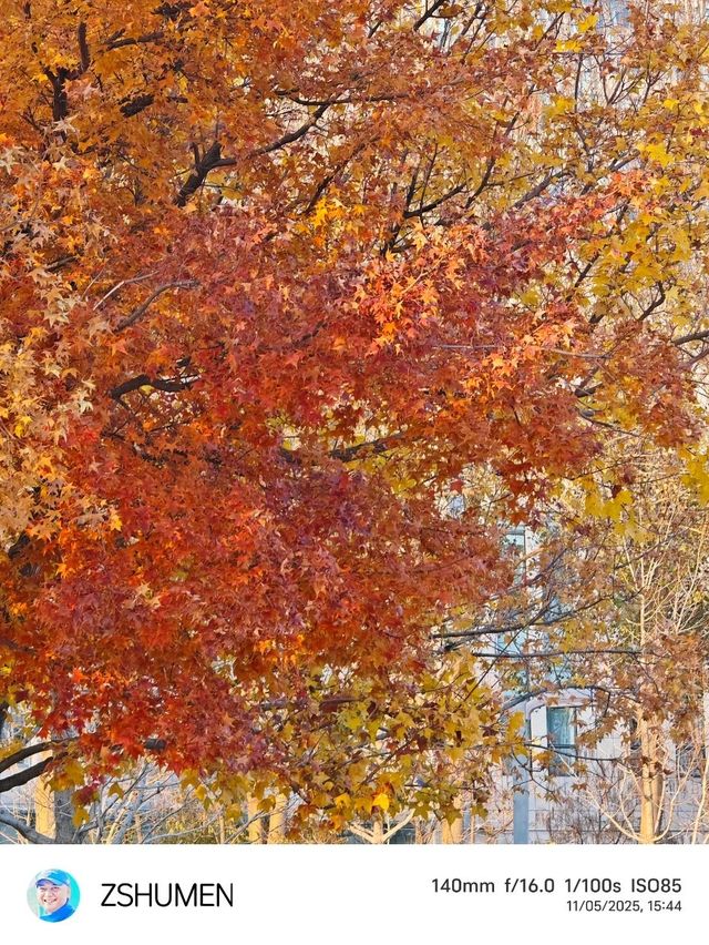 Tongliao Urban Vibes✨ Tongliao Urban Vibes✨