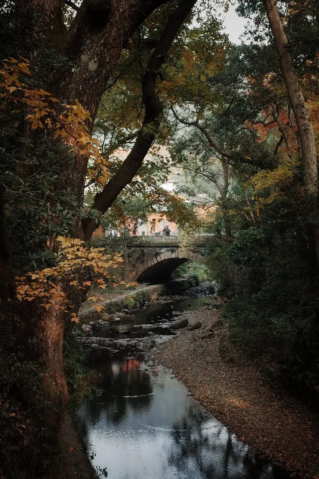 被香火與古木浸透 被香火與古木浸透