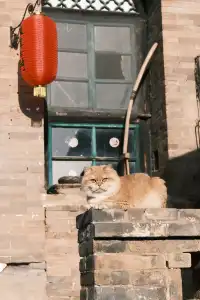 後溝古村｜榆次深山裡的時間縫隙（附攻略）