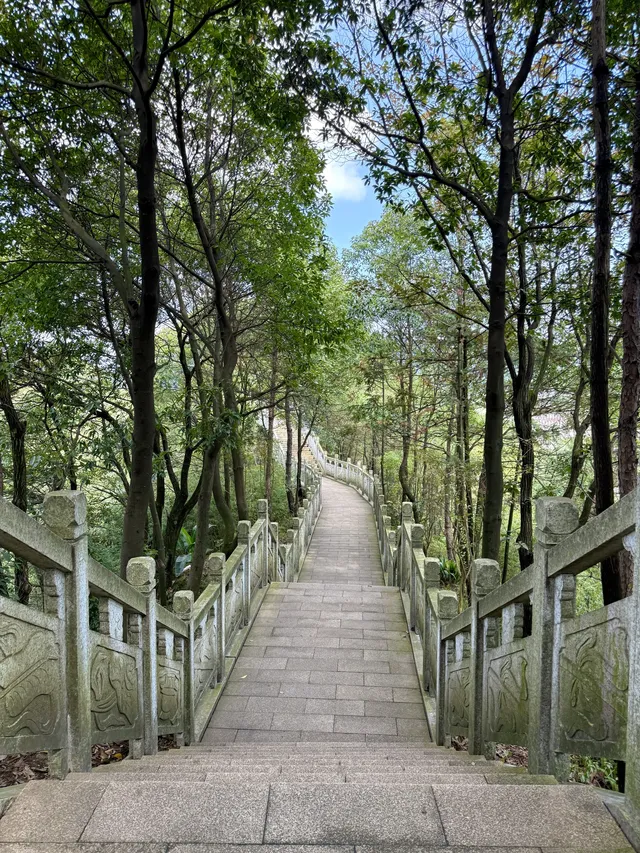 重慶主城!最喜歡的citywalk路線好治癒… 重慶主城!最喜歡的citywalk路線好治癒…