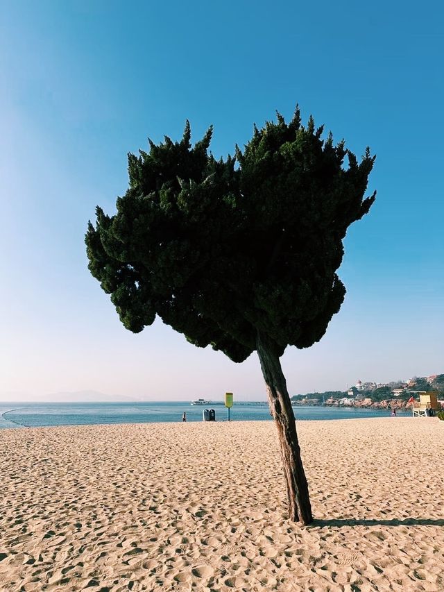 青島冬日兩日遊追海鷗逛老城超治癒 青島冬日兩日遊追海鷗逛老城超治癒