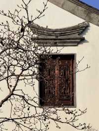 超全南京愚園冬日攻略！小眾玩法+拍照機位大公開