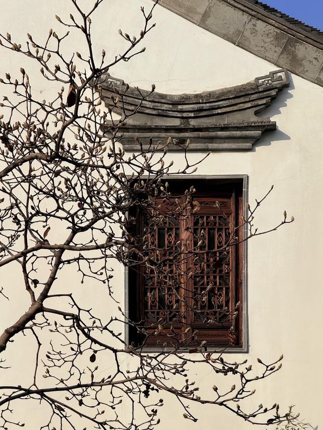 超全南京愚園冬日攻略！小眾玩法+拍照機位大公開